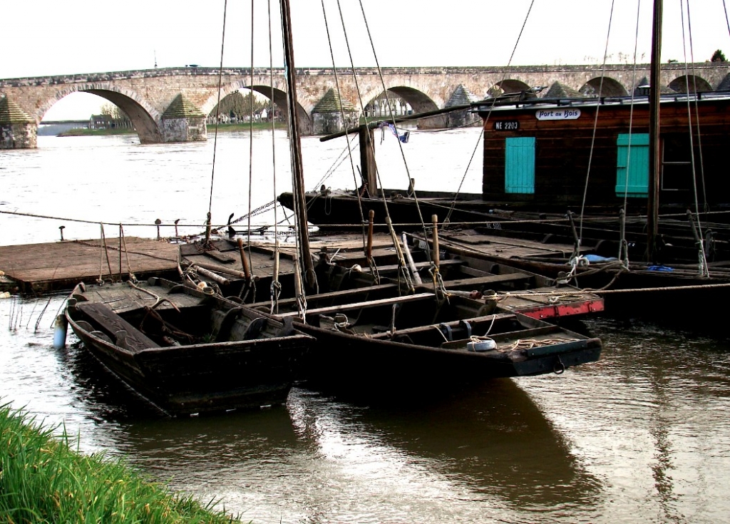 Vol de moteurs sur la Loire (Photo M.Justovica)