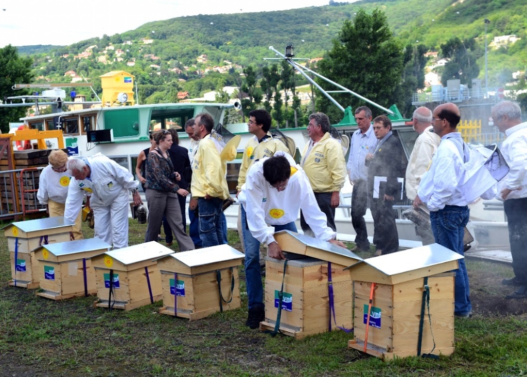 Les abeilles de VNF (Philéas Fotos)