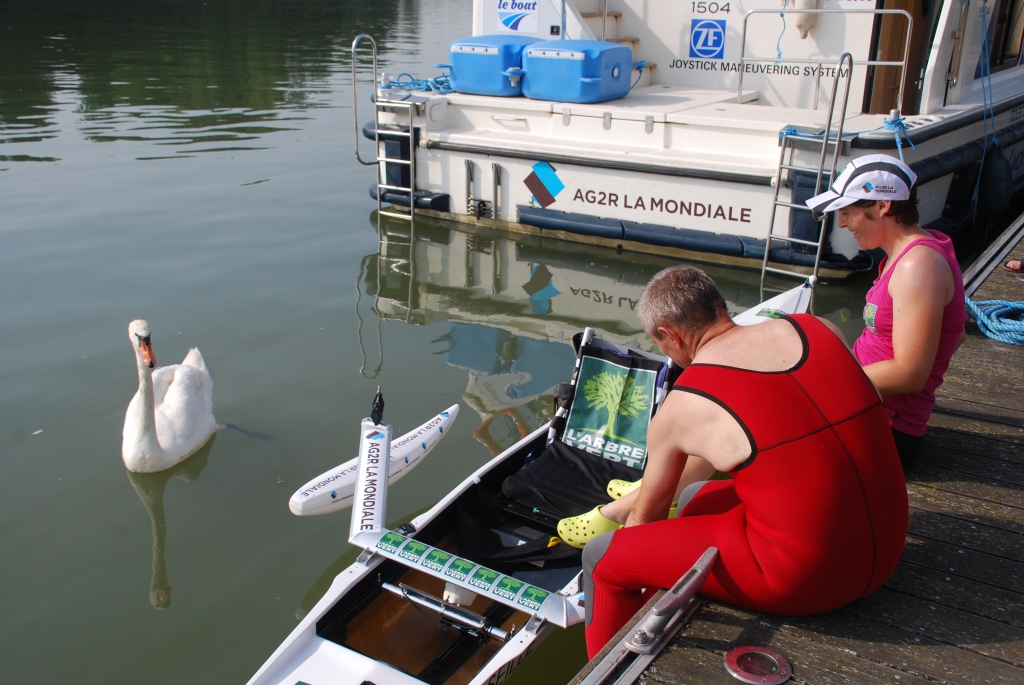 Nathalie embarque sous l'œil très intéressé d'un cygne, à Mâcon (Photo J.-F. Macaigne))