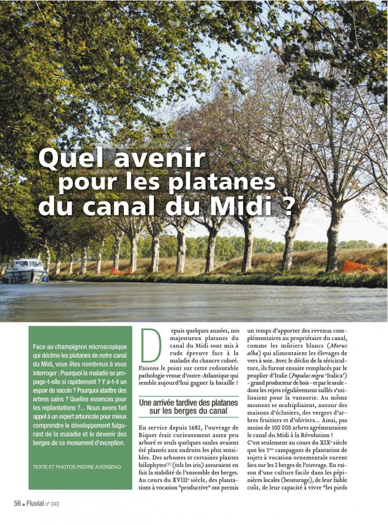 Quel avenir pour les platanes du canal du Midi - Fluvial n°243