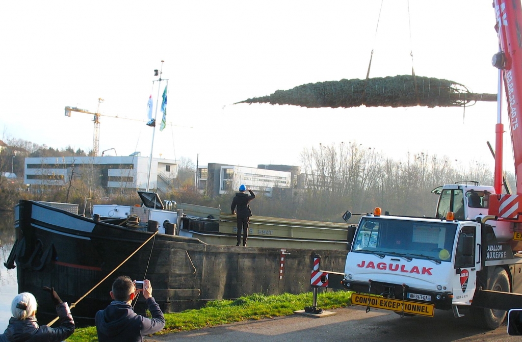 Le sapin de l'Élysée chargé sur le "Coluche" le 8/12/15 (Photo Ph Bénard)