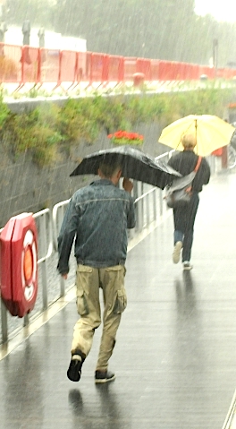 Pluie au Nord... (Photo Y.Gérondal)