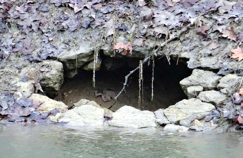 Un des "renards" qui ne cesse de grossir sur le bief 53 (Photo B. Chanal)