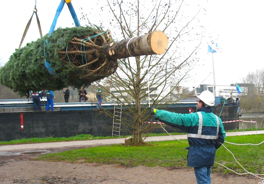 Chargement du sapin de l’Élysée à Auxerre en décembre 2014 (Photo Ph. Bénard - Fluvial)