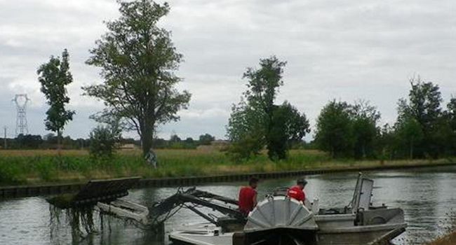 Après avoir coupé les lianes, un tracteur flottant, récupère les algues (photo La Dépêche)