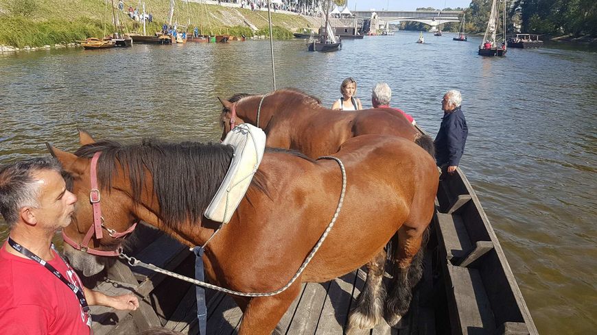 Laurette et Fripon paradent pour la 5e fois au Festival de Loire (Photo Maxppp - Clémence Gourdon Negrini)