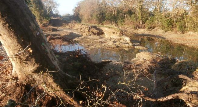 Des arbres déracinés, des trous béants sur les rives du canal. (Photo D.R.)