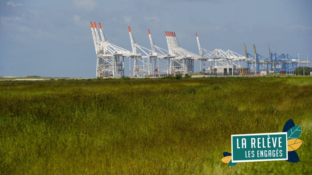 Le Terminal de France à Port 2000, le quai à conteneurs le plus récent du Grand port maritime du Havre, a été conçu dès l'origine pour un impact minimum sur l'environnement (Photo Pascal SITTLER/REA)