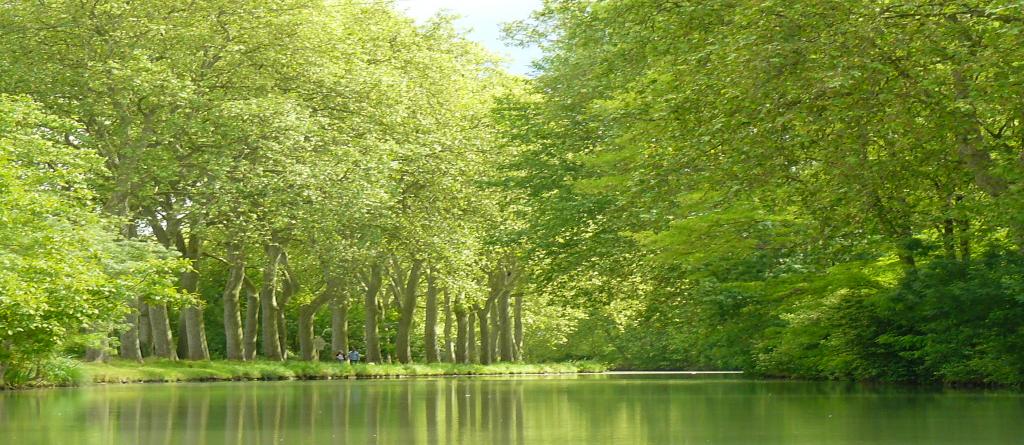 Le canal du Midi (Photo D.R.)