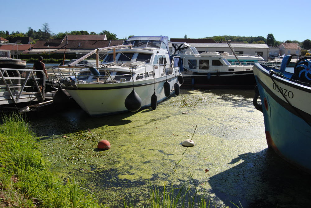 Certains bateaux sont littéralement bloqués dans le port. (Photo ER)