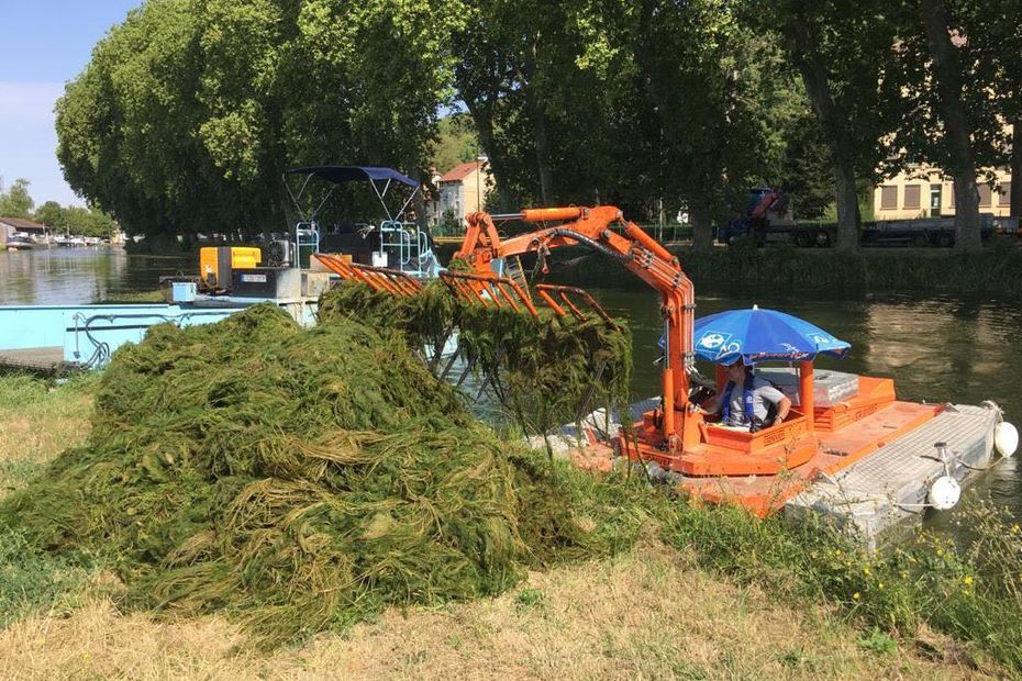 L'opération de faucardage sur le canal de la Marne au Rhin à Bar-le-Duc. (Photo Marion Lompageu - France Télévisions)